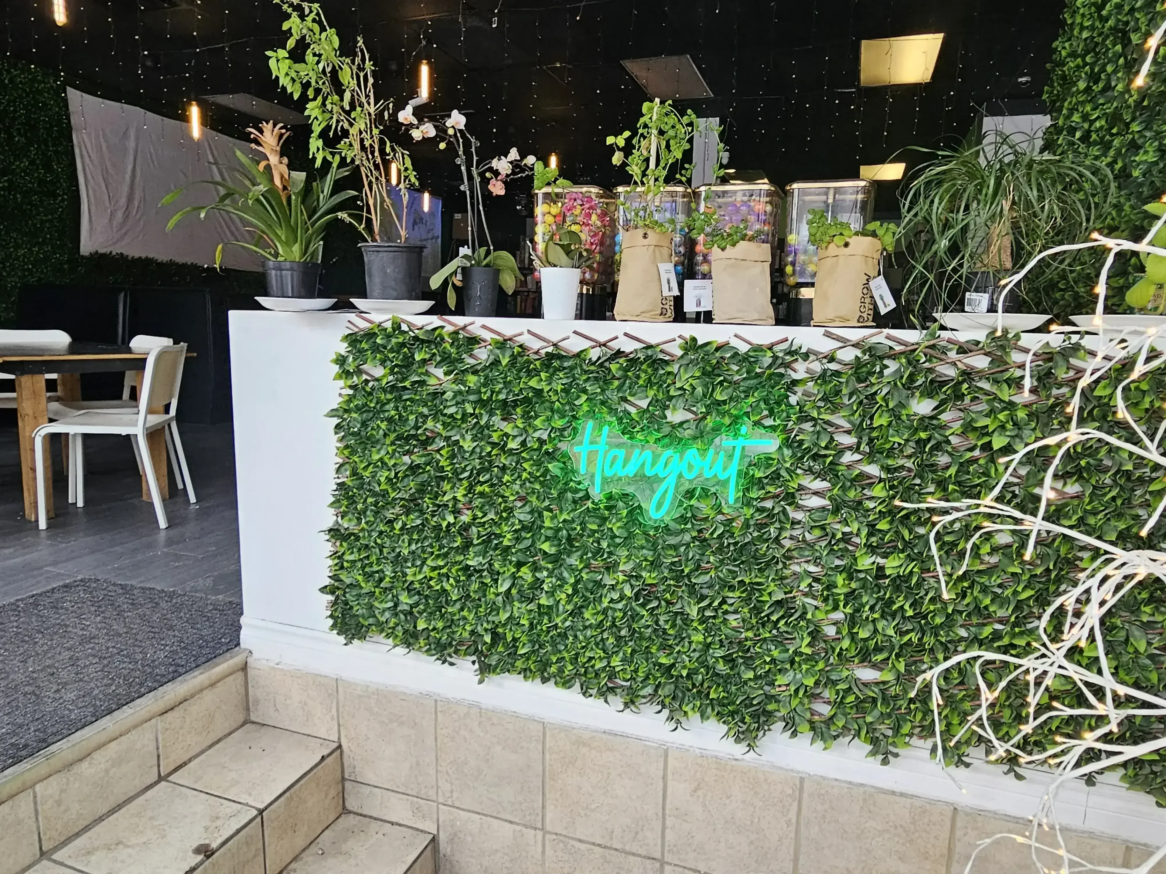 Inside Hangout Cafe with a warm, inviting atmosphere